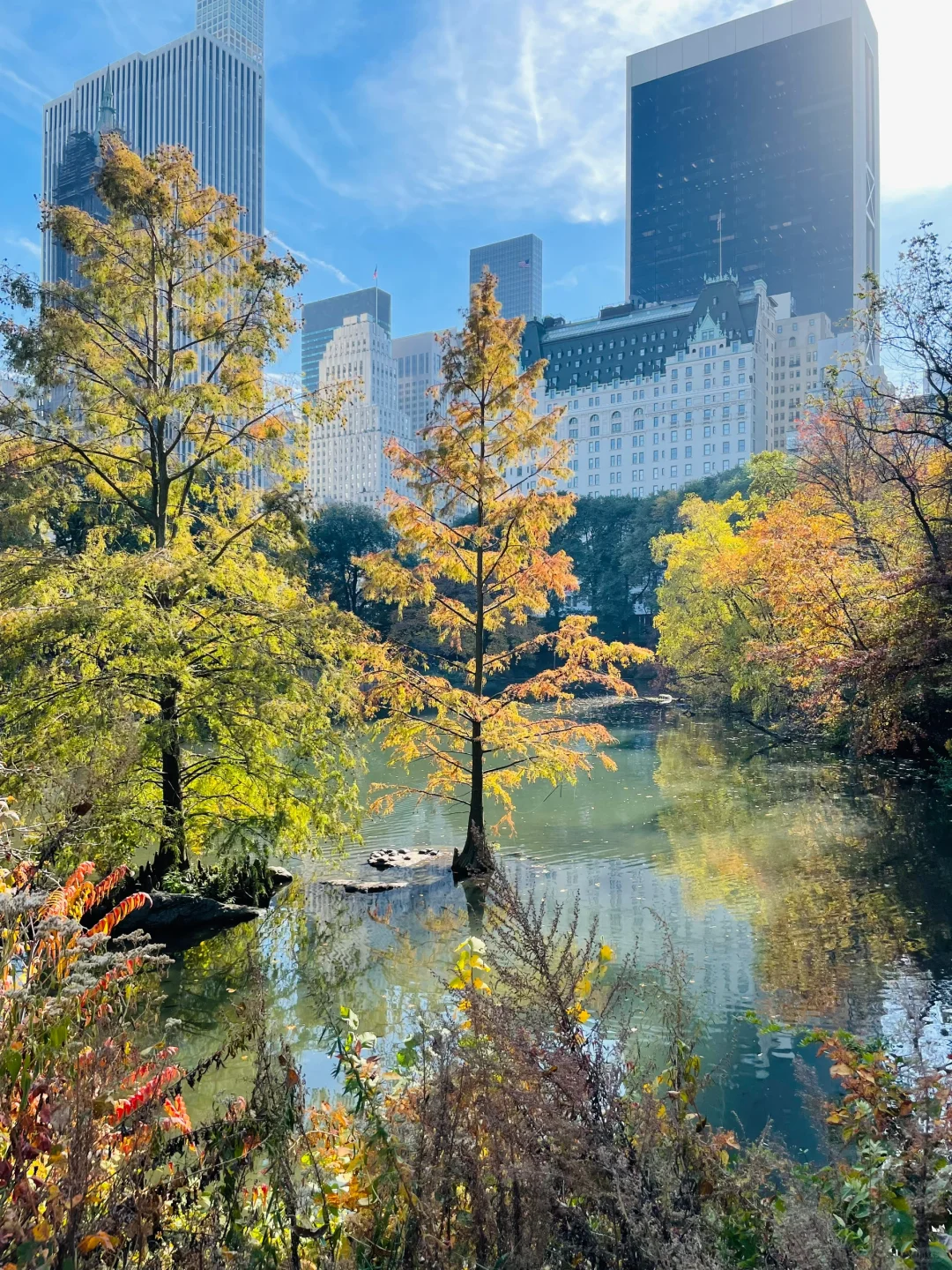 What? There's a Hidden Secret Garden in New York's Central Park!