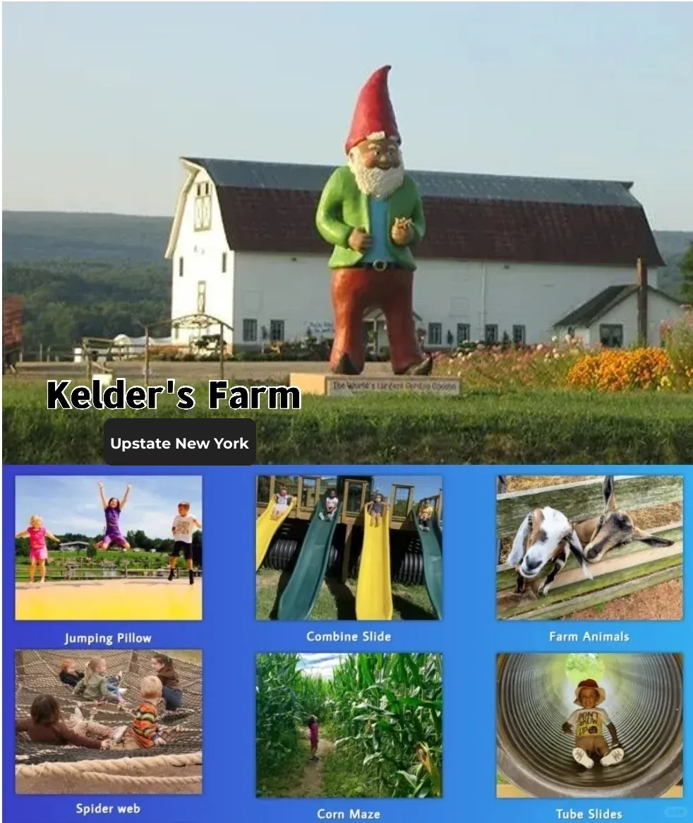 Top 6 Must-Try Corn Mazes in NYC This Month 🌽