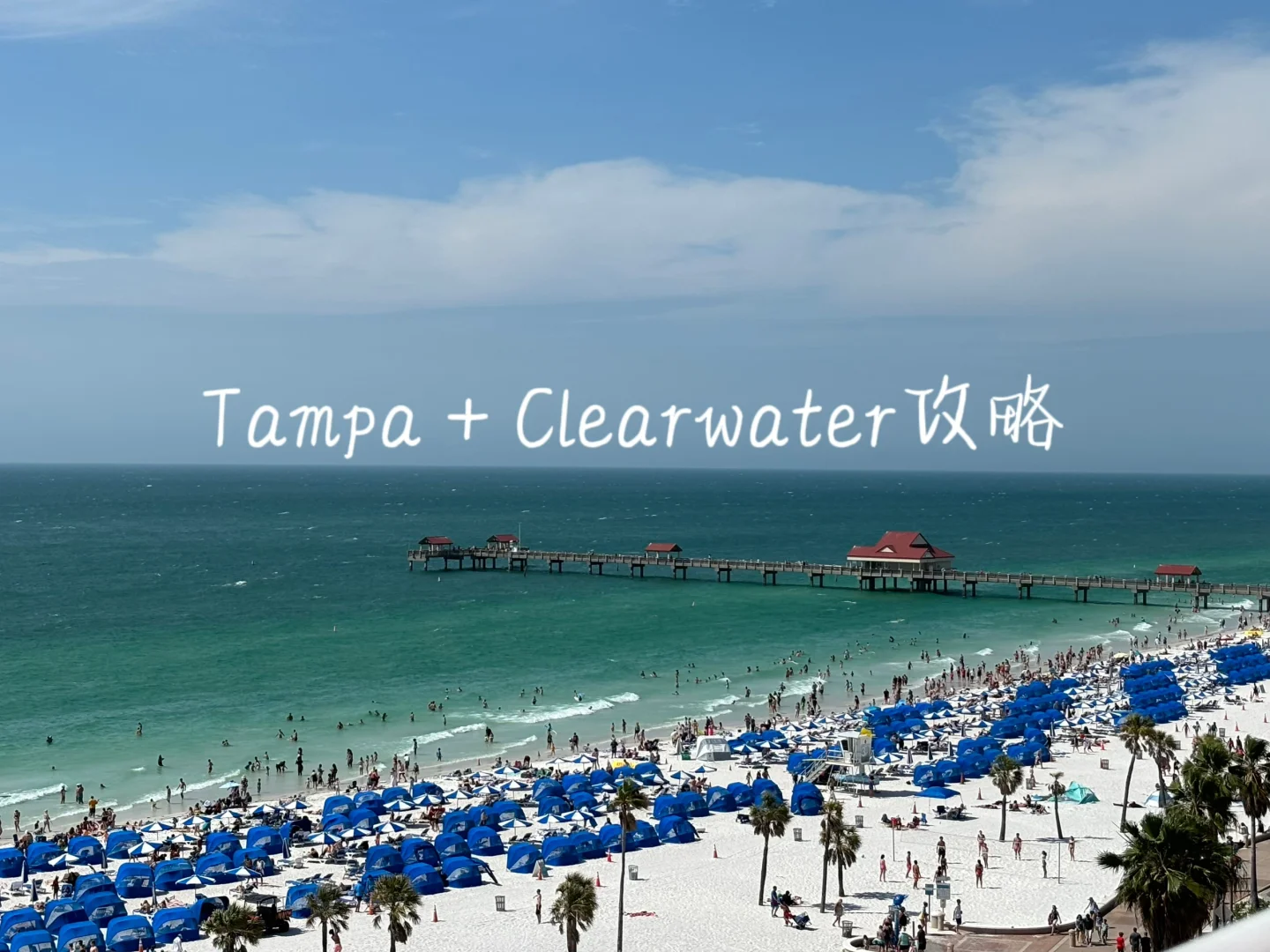 Tampa Clearwater｜4-Day Itinerary: A Foolproof Travel Guide