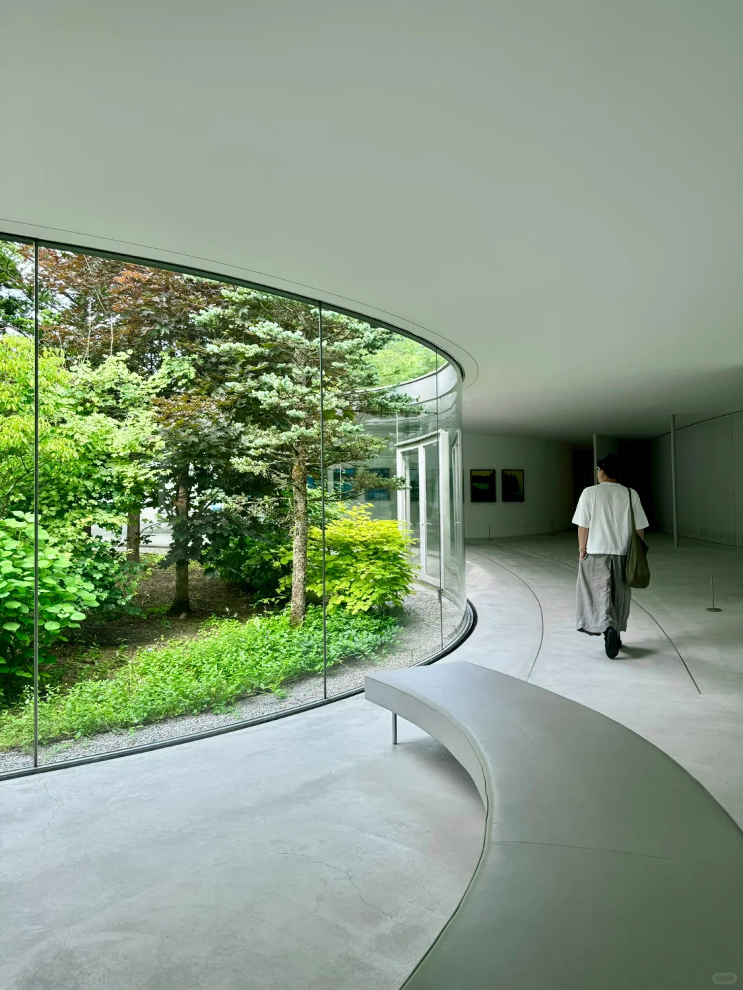 For these stunning art museums, I flew to Japan 8 times in a year! 🇯🇵