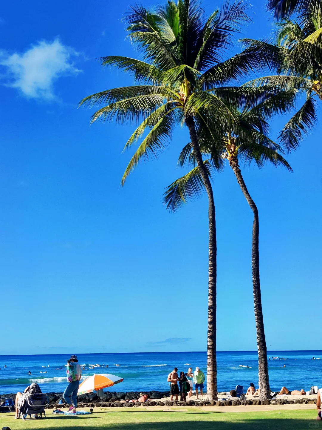 The Truth Might Be Hard to Hear 😅 But This Is the Real Reality of Traveling in Hawaii…