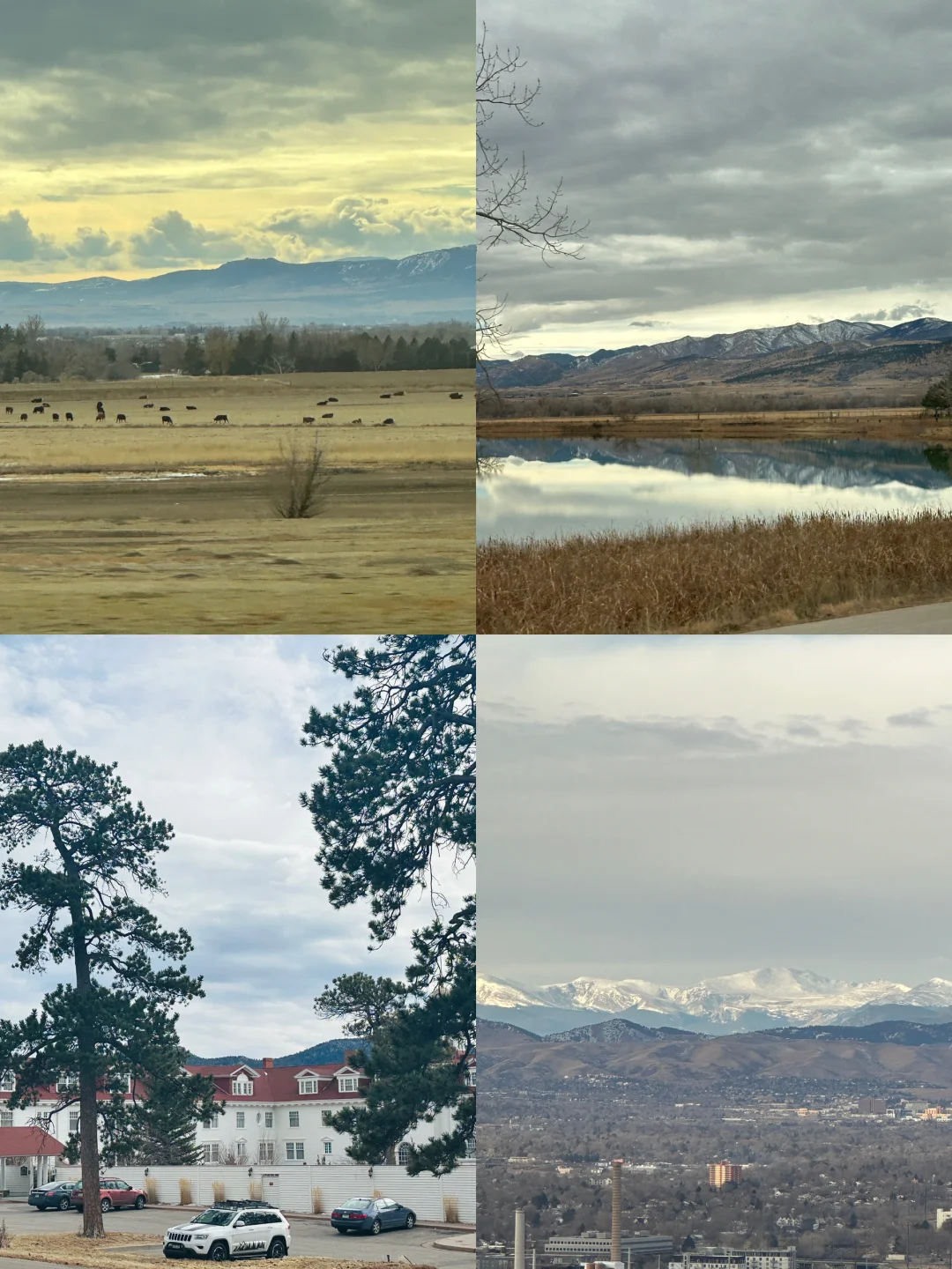 5-Day, 4-Night Ultimate Travel Guide to Denver, Colorado 🏔️