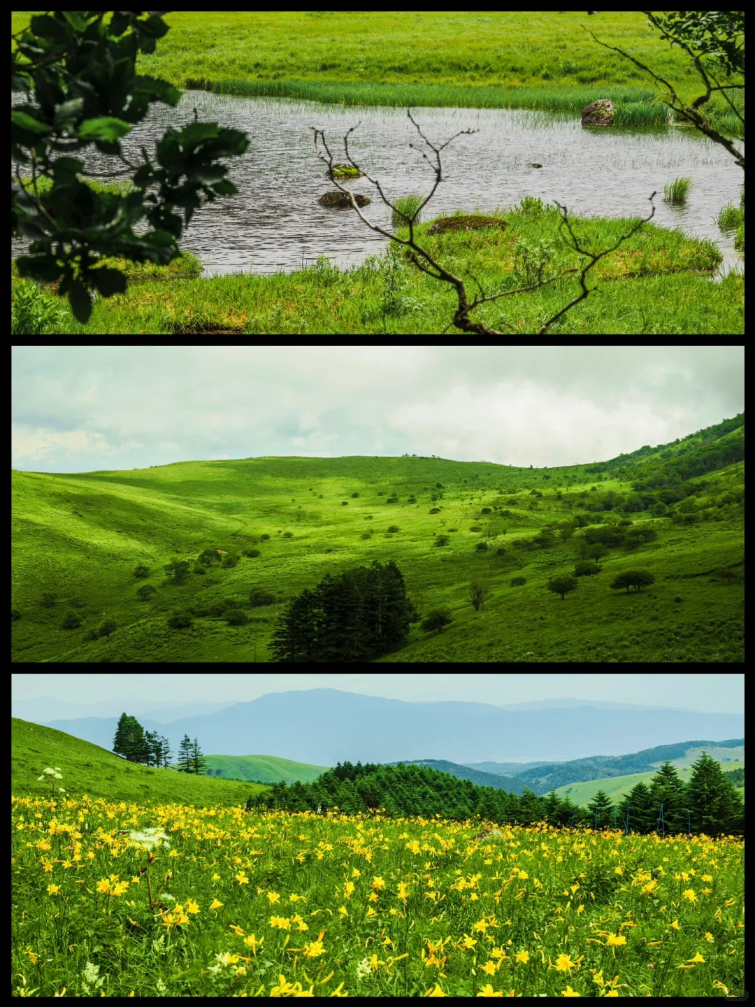 Day Trip to Tokyo | Kusayama, The Big Meadow