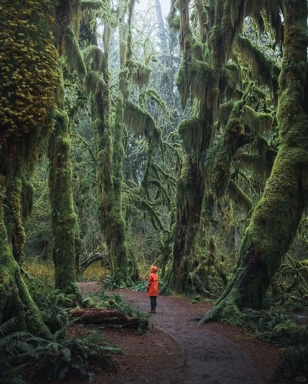 "Step into the World of Stranger Things at the U.S. Olympic Park 🇺🇸"