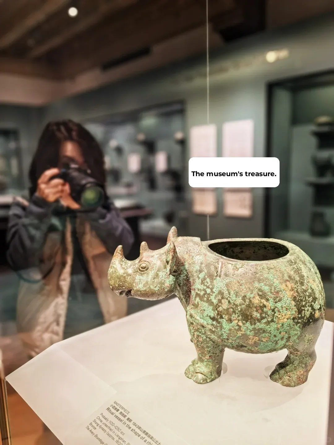 I Saw the Only Bronze Artifact Shaped Like a Rhinoceros