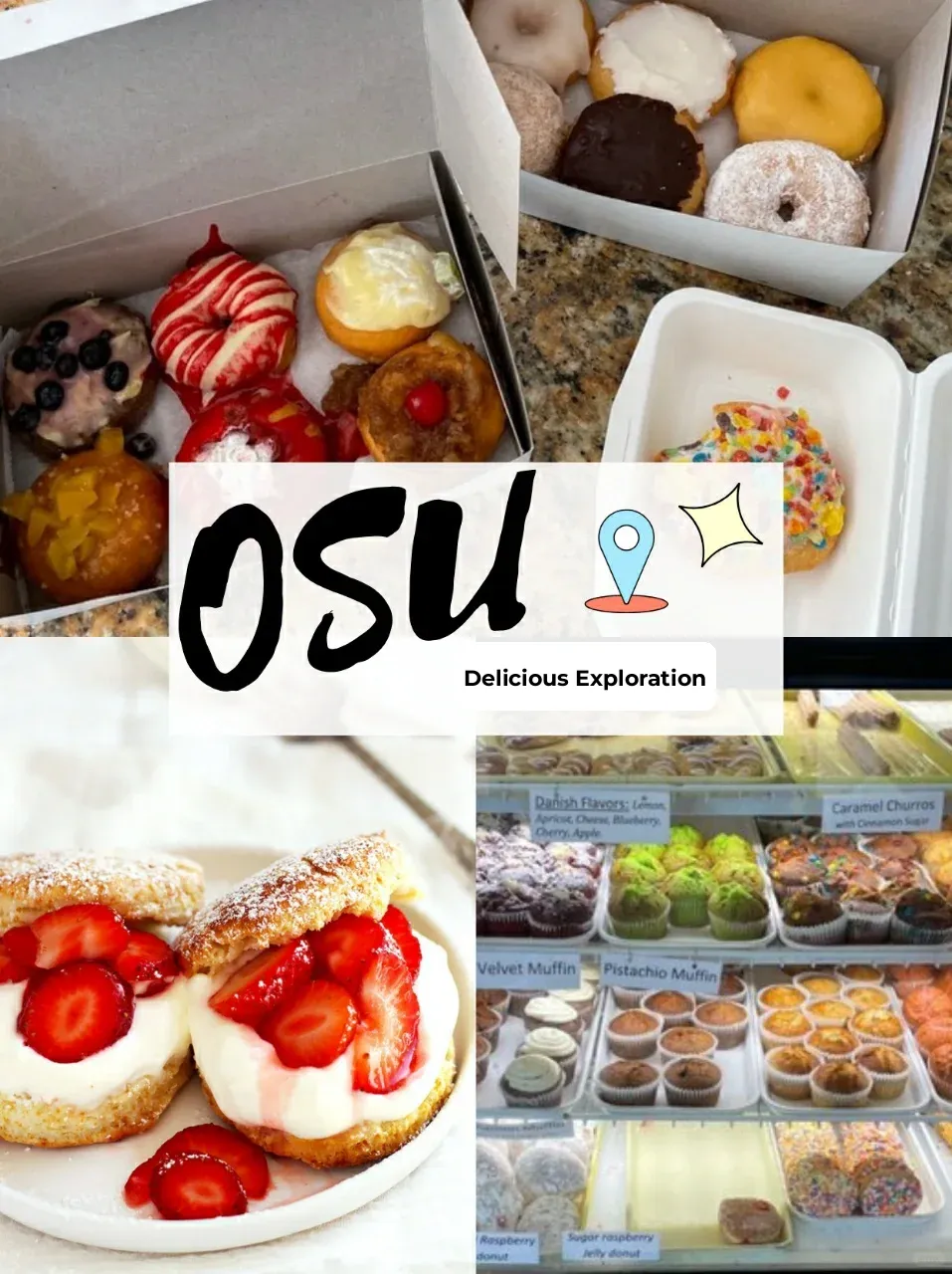 Exploring Donut Shops in Ohio 🍩