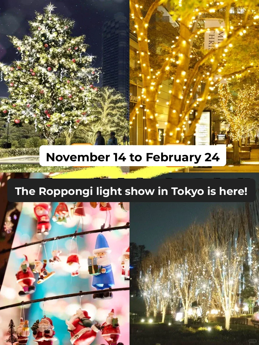 November 14 - February 24 | Roppongi Hills Christmas Light Show ❣️