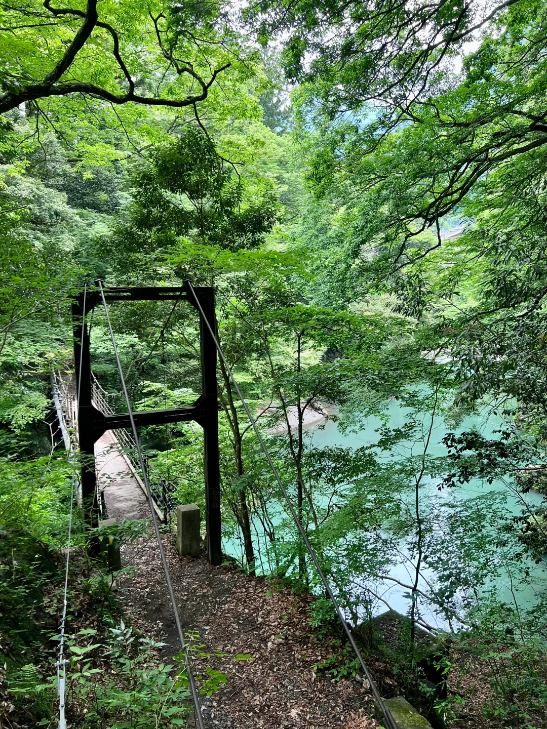 Slow Life 007 | Tokyo Locals' Secret Sanctuary