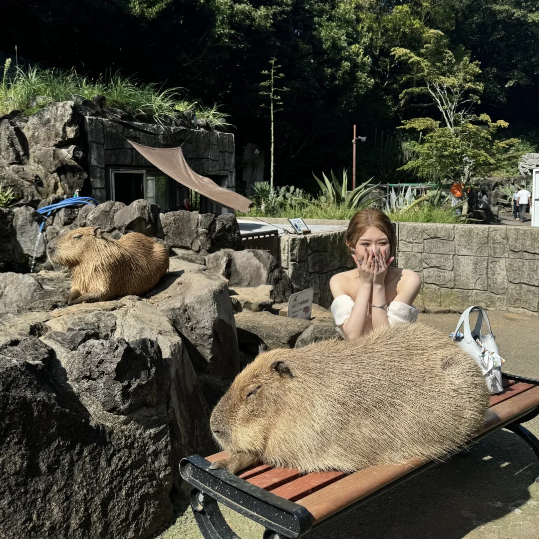 🇯🇵 Mount Omuro / Even More Stunning Than Depicted in 'Your Name'