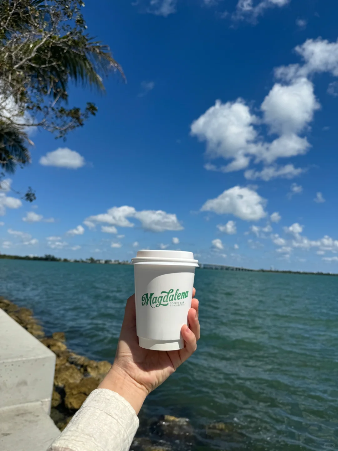 Miami | If You Ask Me, Is This a Coffee Desert? ☕️