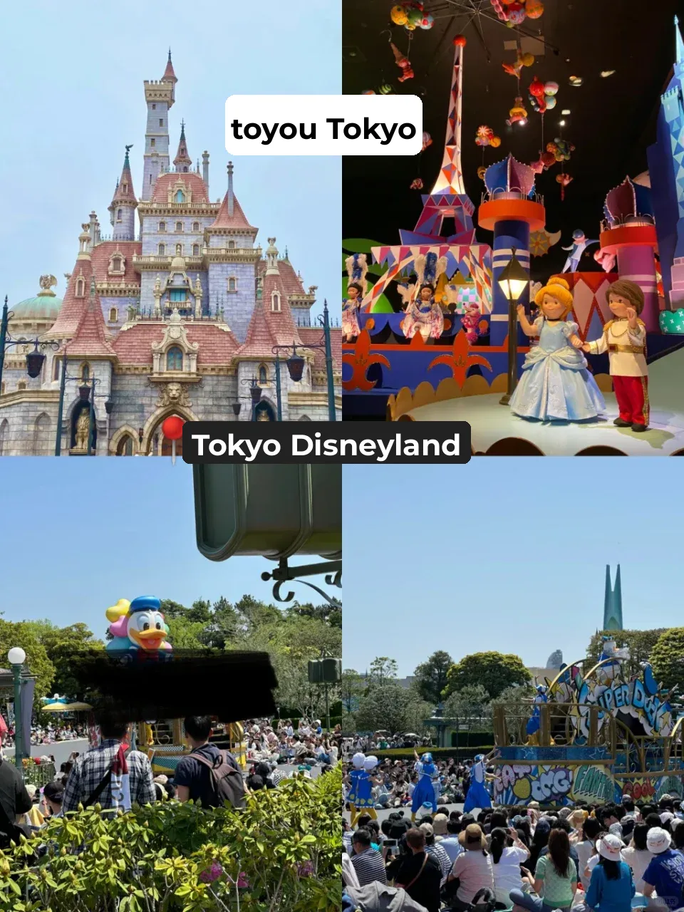 7-Day Japan Itinerary: The Ultimate Hand-Holding Guide! 🇯🇵❗❓