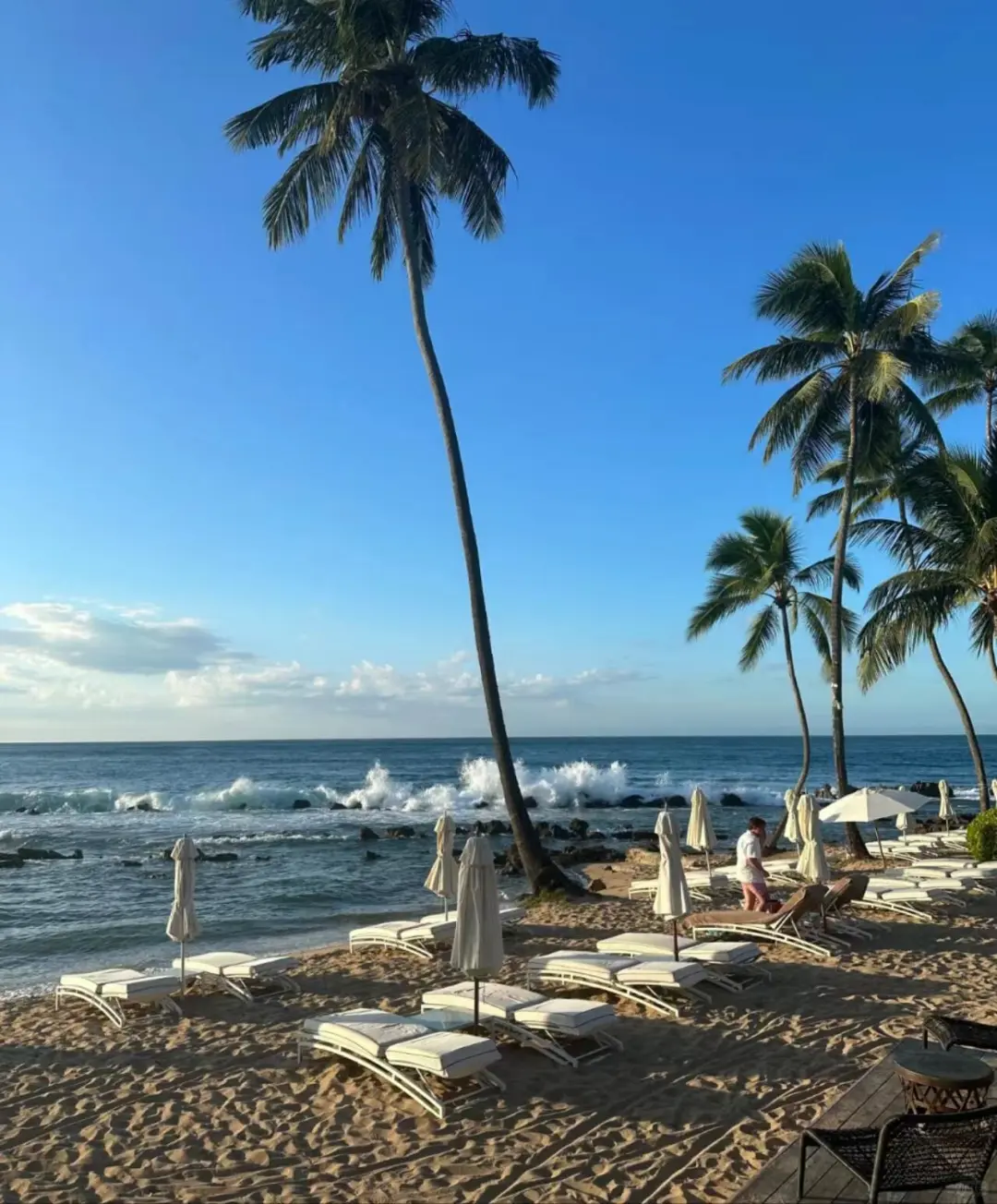 Miami 🌴 will make you pay for not doing your homework