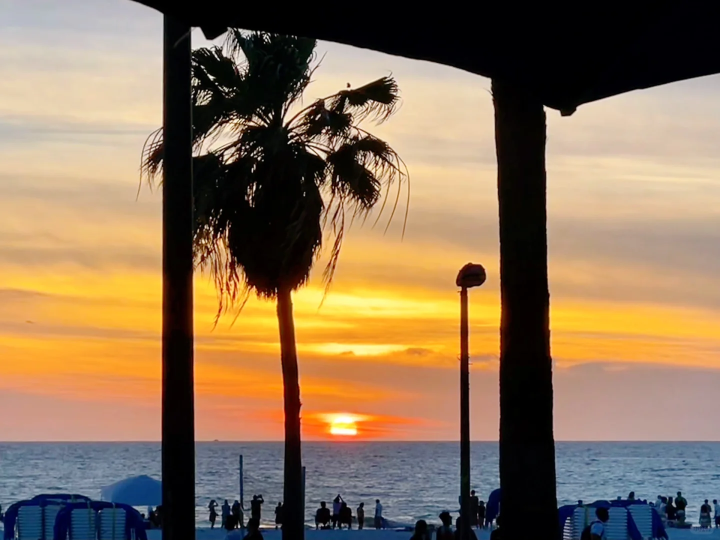 Recommended Sunset Viewing Restaurant (Bistro🍻) in Clearwater