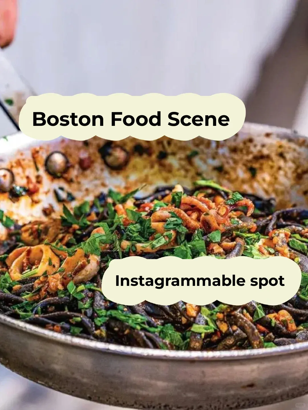 Who Says Boston Is a Food Desert? I Beg to Differ!