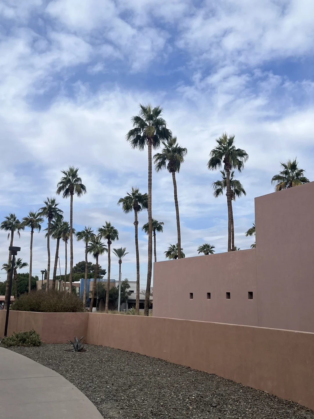 Arizona | Travel Guide to Phoenix and Tucson 🌆🌵