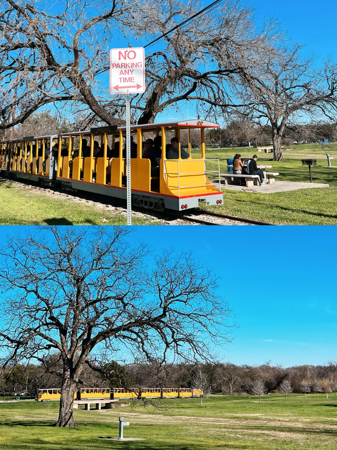 Ding🛎️ Hop on This Super-Long Mini Train in San Antonio!