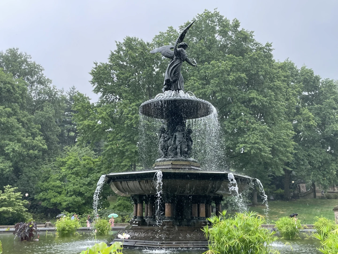 NYC Central Park Must-Visit Spots Part 2