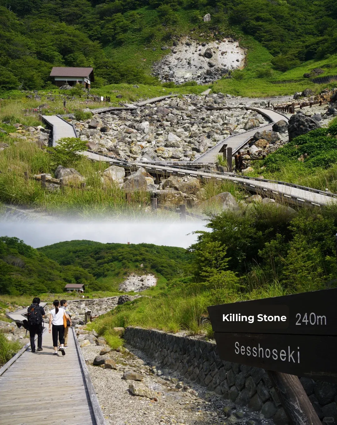 Tokyo Suburbs | Hidden Gem Nasu Onsen Food Guide ♨️