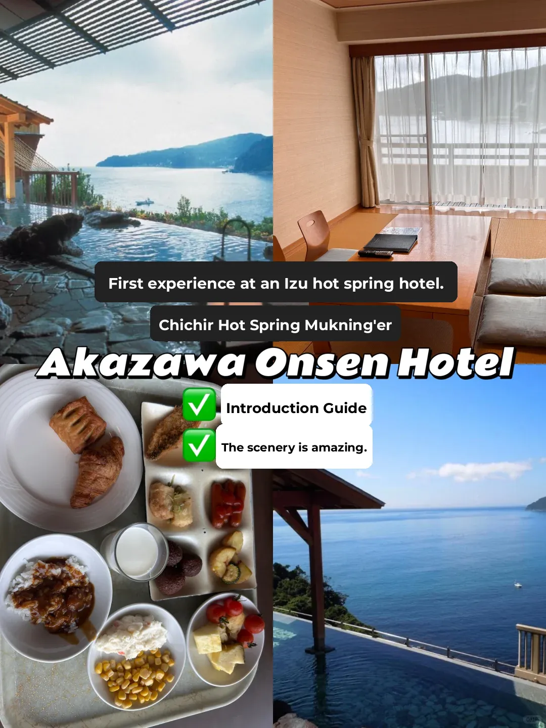 🇯🇵 Izu Akazawa Onsen Hotel