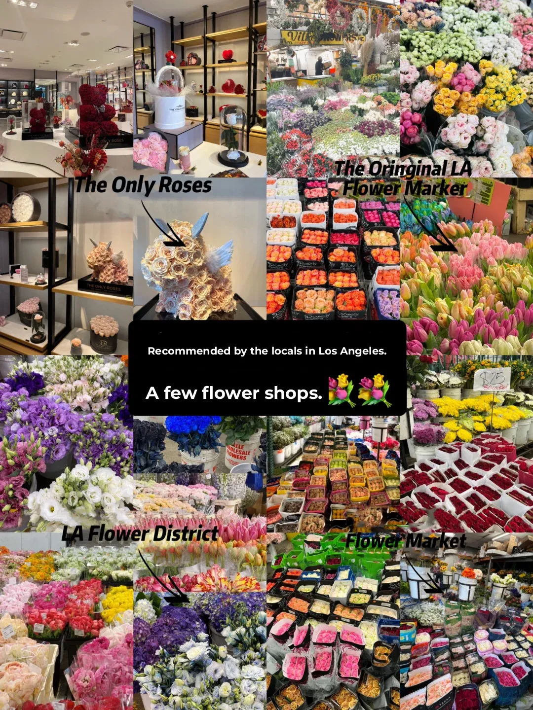 Must-Visit Flower Shops in LA: Top 4 Picks!