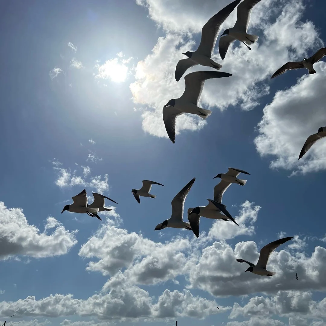 Sylvan Beach Park, Houston
