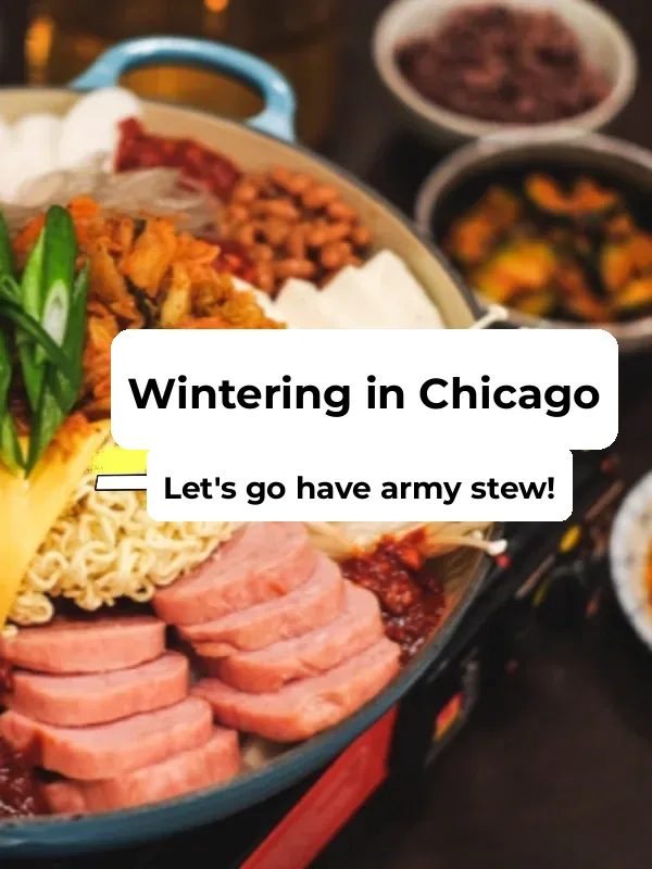 Surviving Winter in Chicago ❄️ Can't Go Without This Pot of Soup