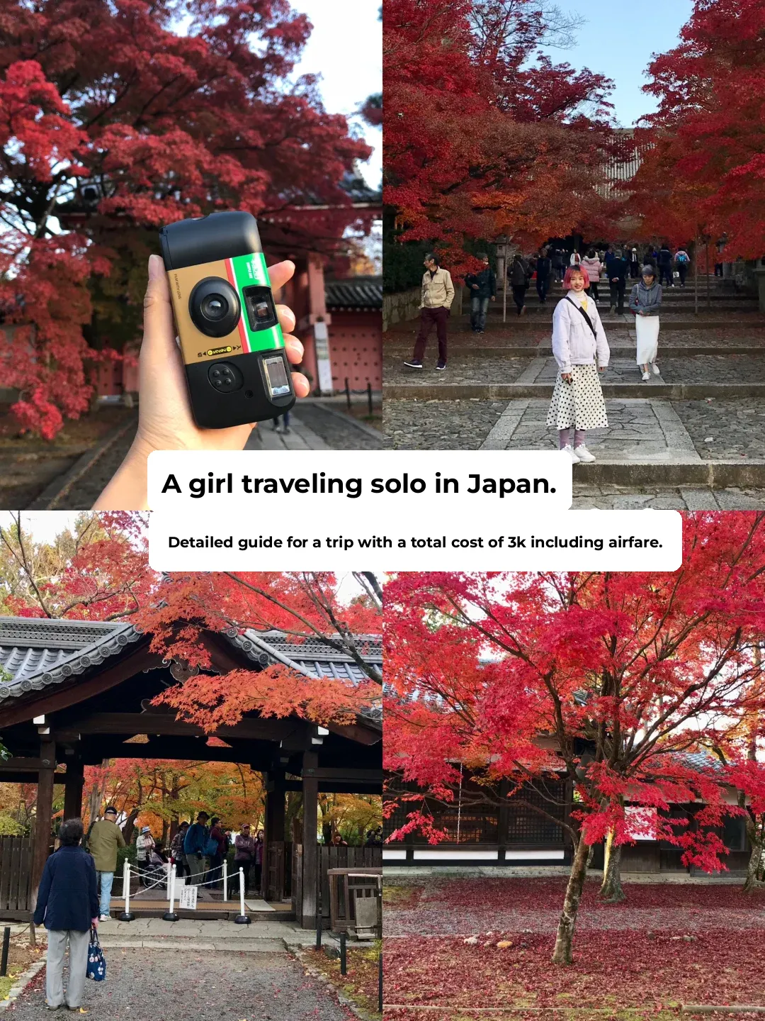 5-Day Japan Solo Trip: 4 Nights, Including Flights, for Just 3000 RMB