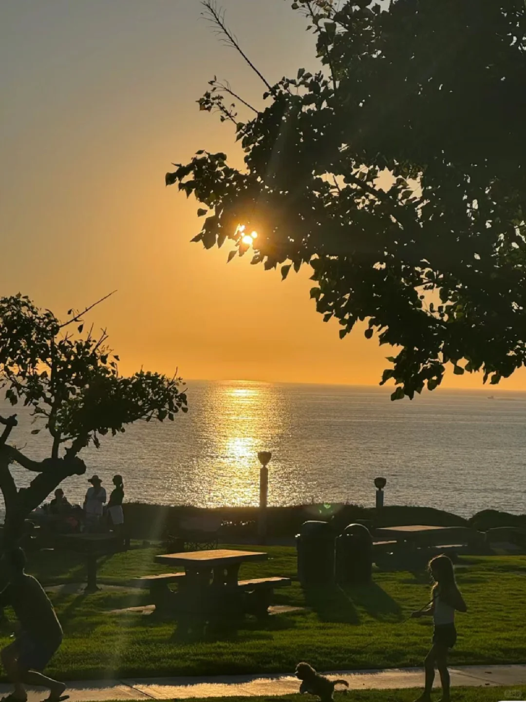 Must-Visit LA Itineraries 🔥