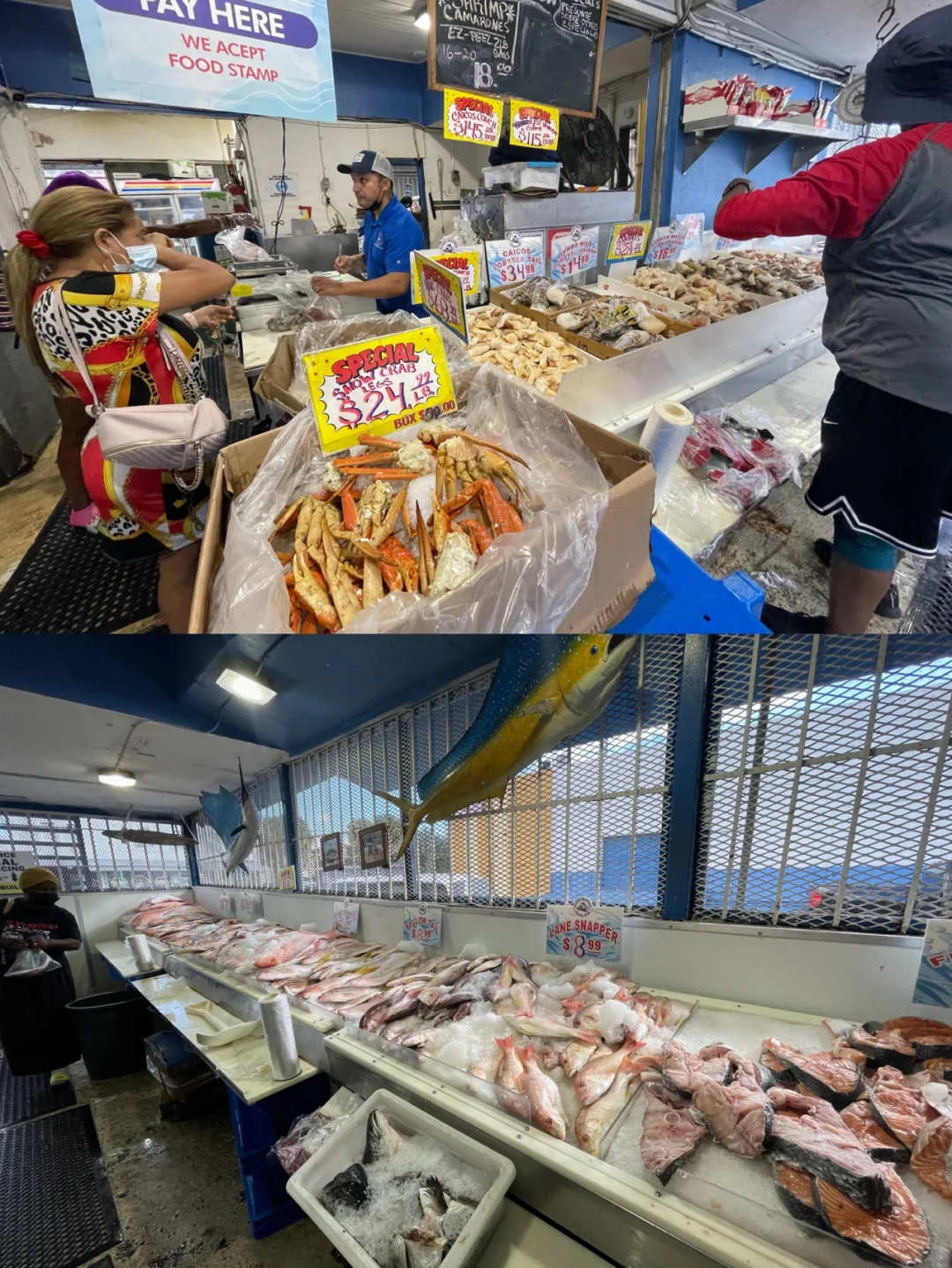 How to Enjoy a Seafood Feast in Miami for Just $68