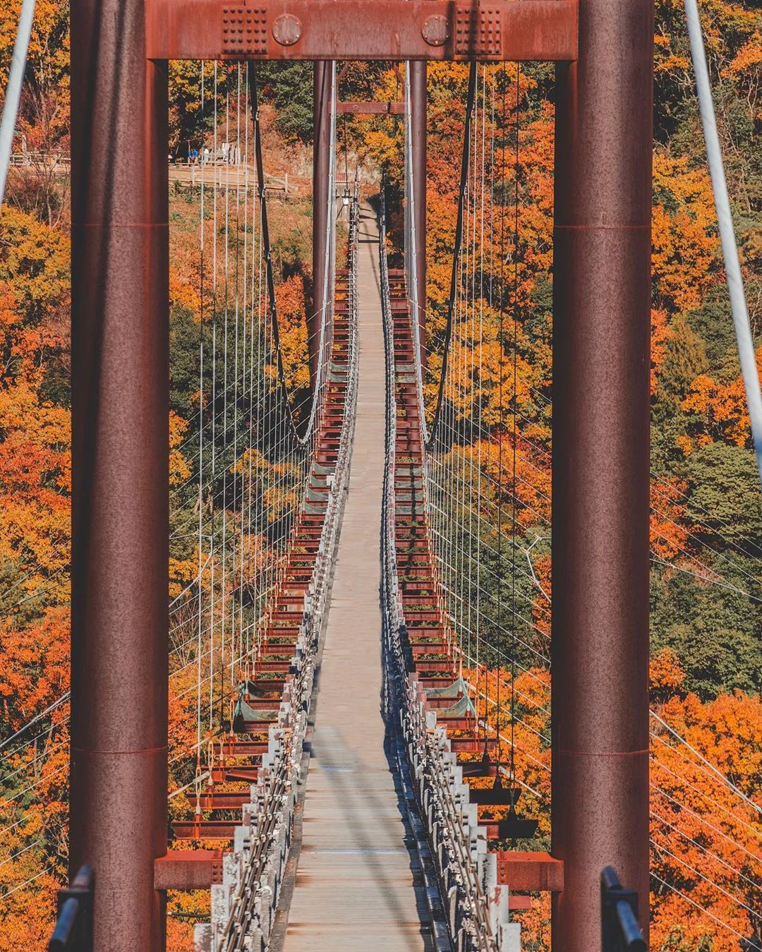 Osaka Gems | 5 Hidden Gems You Can't Miss: Less Crowded, More Stunning