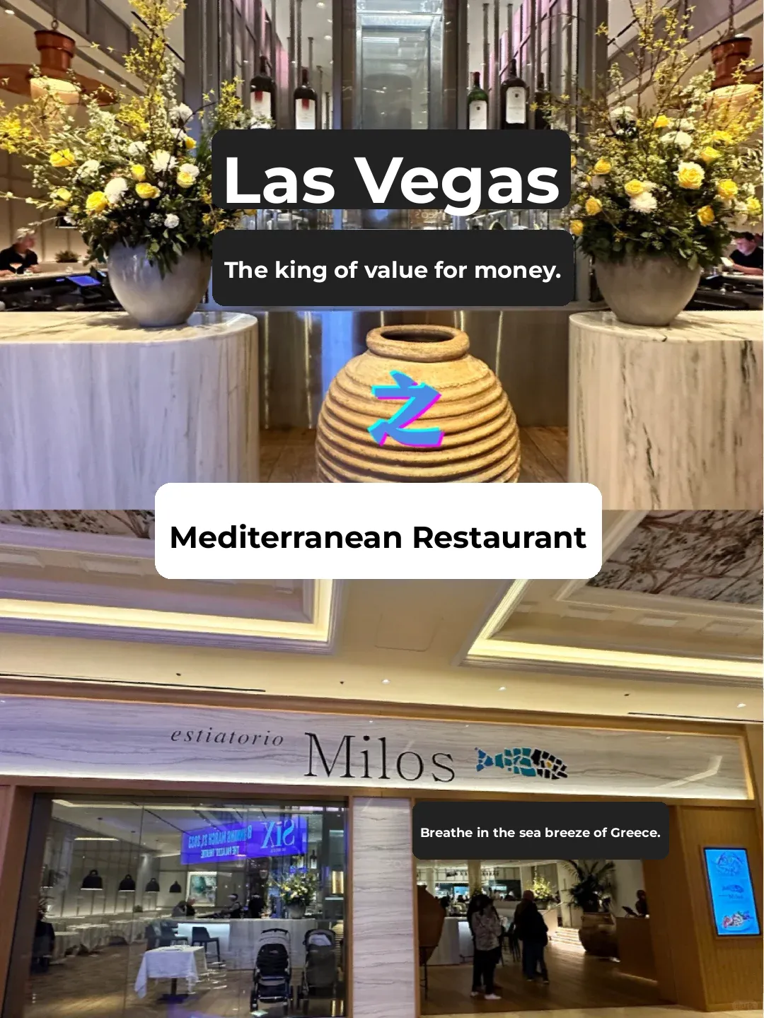 "Stop Sticking to Buffets in Las Vegas—We Found the King of Value for Money! 🦞"