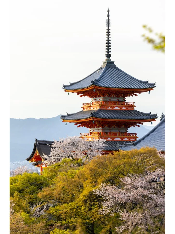 Just Back from Kyoto, This Guide Has You Covered – No Surprises! ❗
