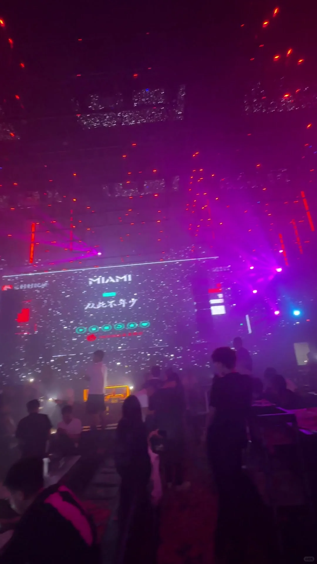 🍸 Miami Bars: Endless Fun 🍸