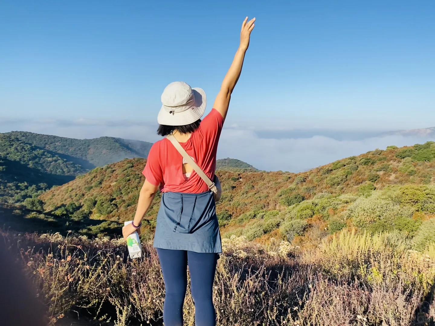 East Bay Hike: Claremont Hills Trail