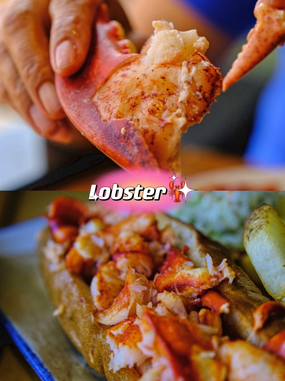 Boston Lobster📸｜Legal Sea Foods🦞