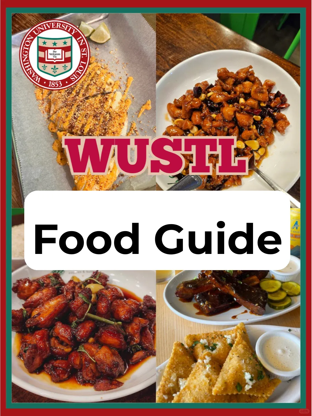 WUSTL Food Guide 🍽️