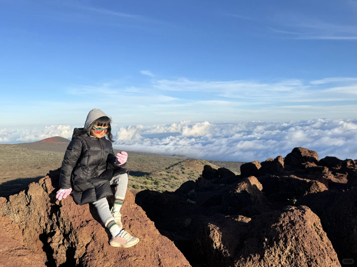 5-Day Family Road Trip Guide to Hawaii's Big Island + Food & Accommodation Reviews