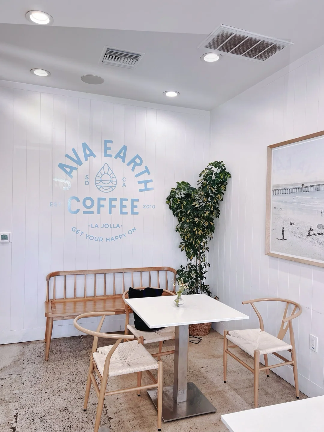 Charming Café 🍃 Perfect Spot for Weekend Study and Chats | San Diego