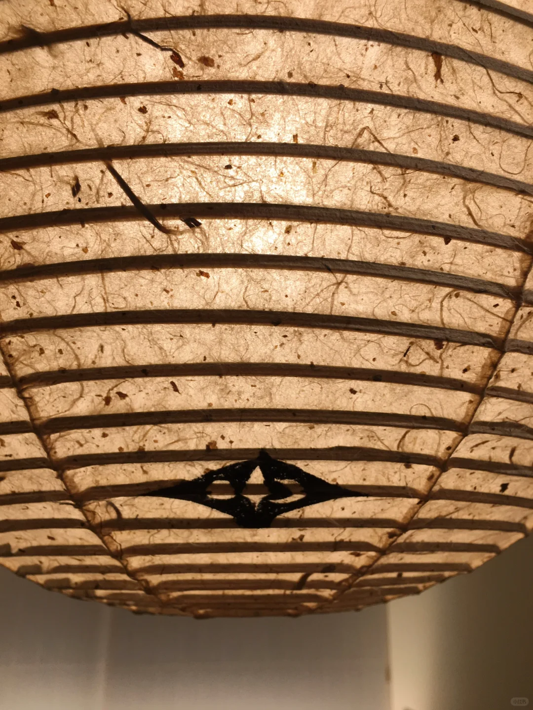 Fujika in Kyoto ✖️ 100-Year-Old Shop, Kojima Shoten 🏮