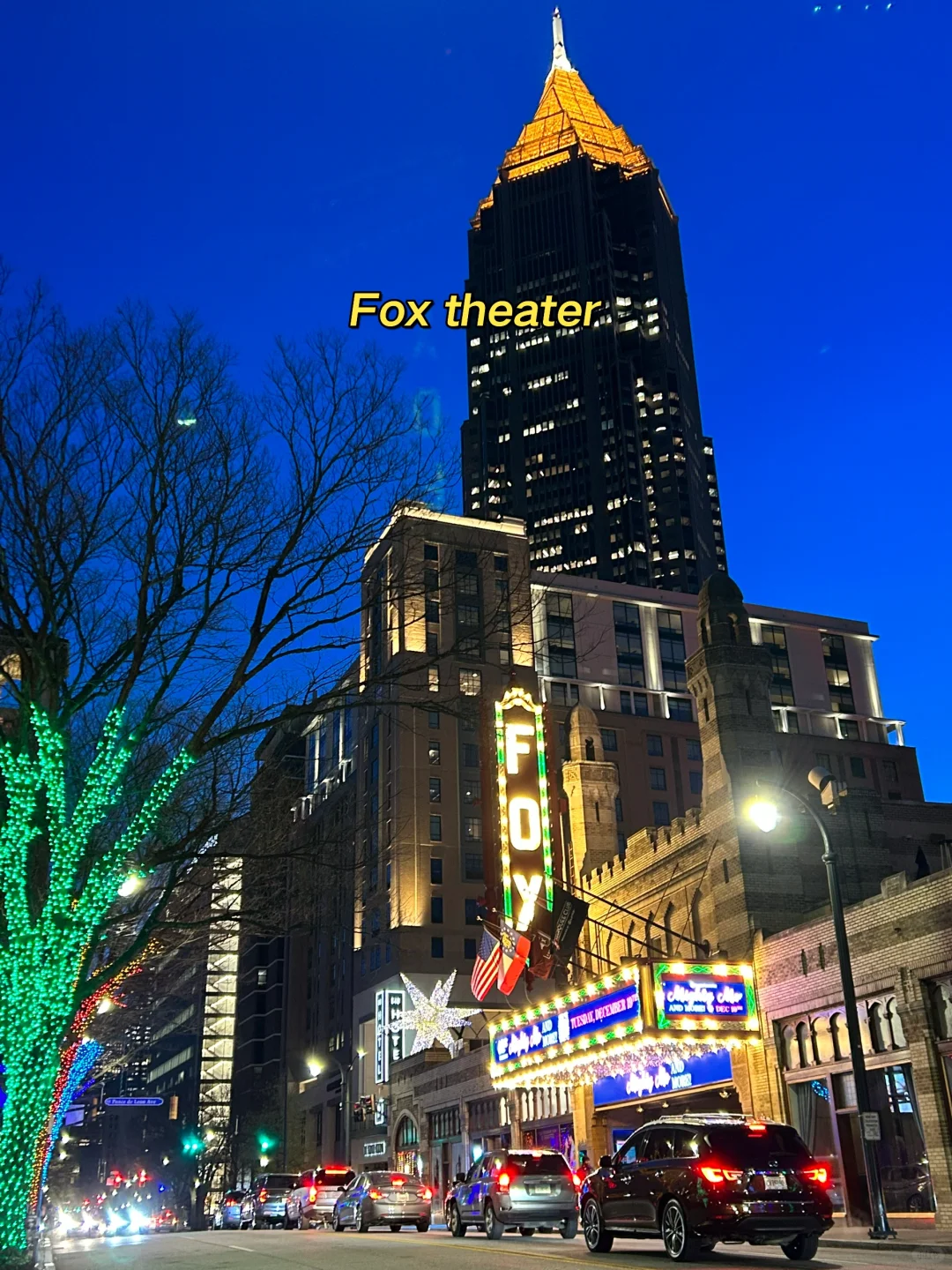 Two-Day Cultural Tour of Atlanta