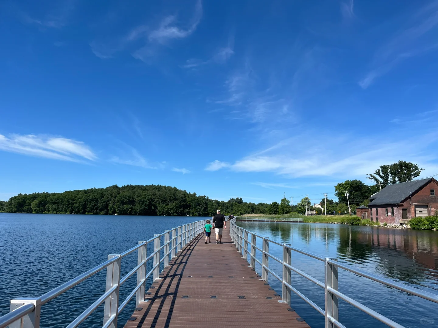 Summer in Boston | Williams Lake Boardwalk