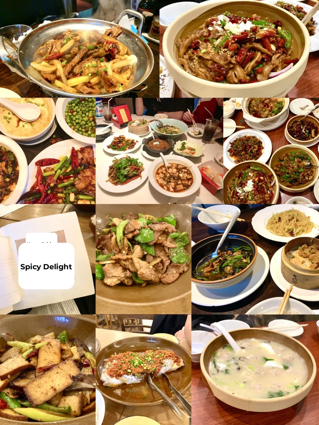 Tokyo Hunan Cuisine Red & Black List | Changsha Girl's Must-Try Picks 👍 Go for It!