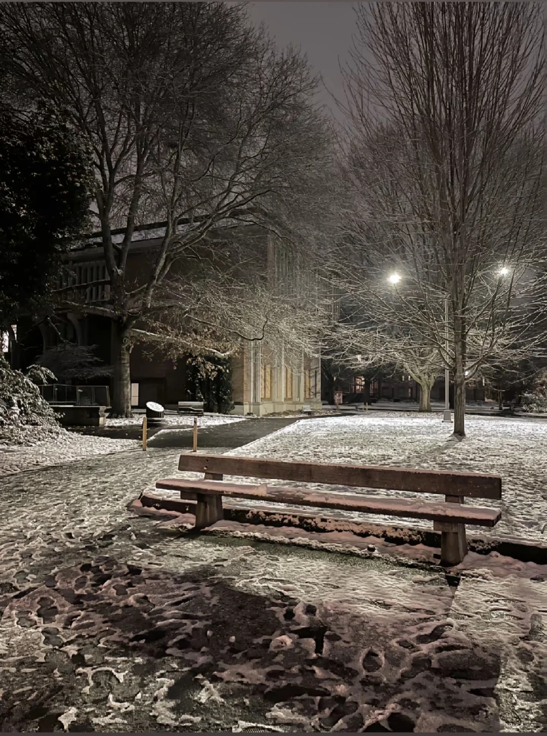 Top Affordable and Safe Budget-Friendly Hotels in Seattle❗