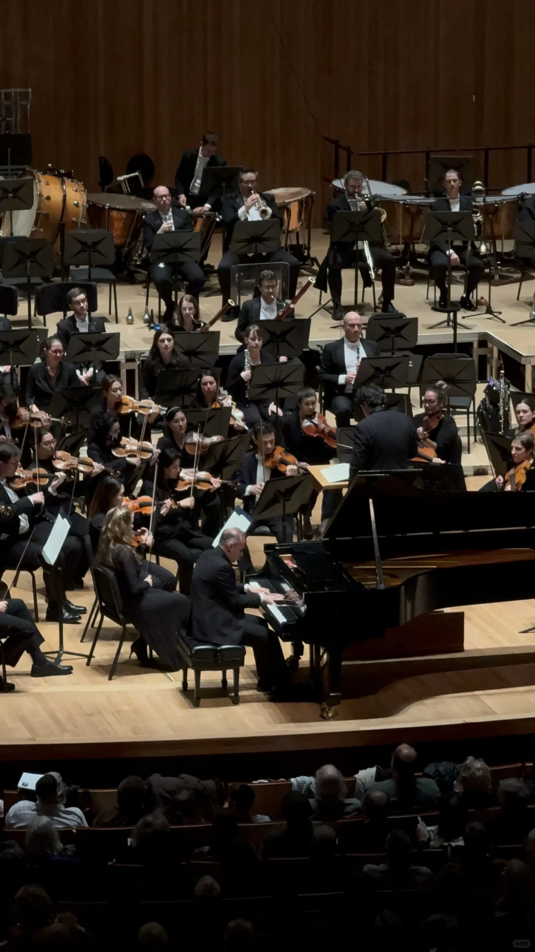 Living Solo in Baltimore