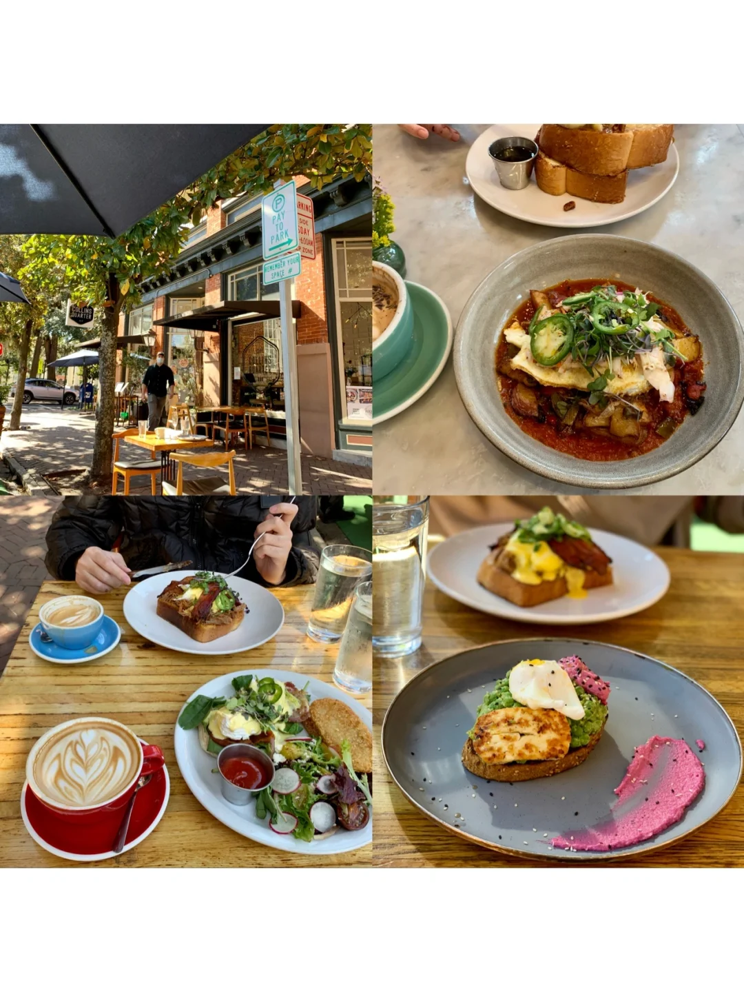 Savannah | The Ultimate Travel Guide to America's Hidden Gem Garden City 🌿💐