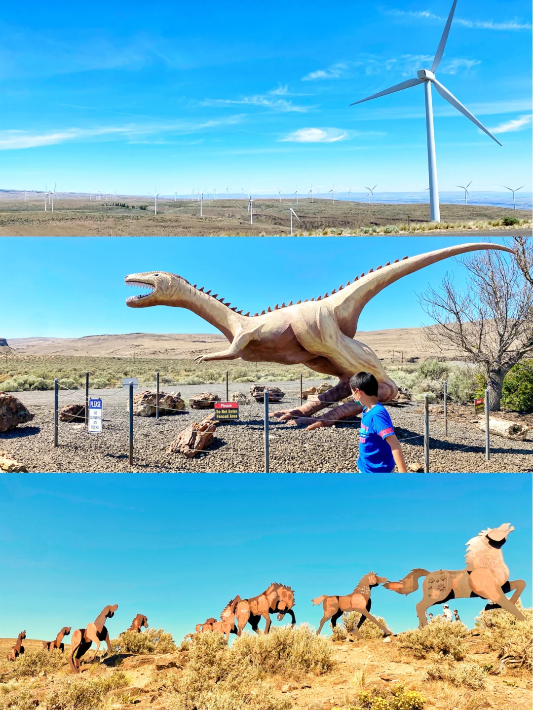 Journey Eastward | A Collection of Must-See Spots Along the Wheat Fields | Around Seattle (Part 23)