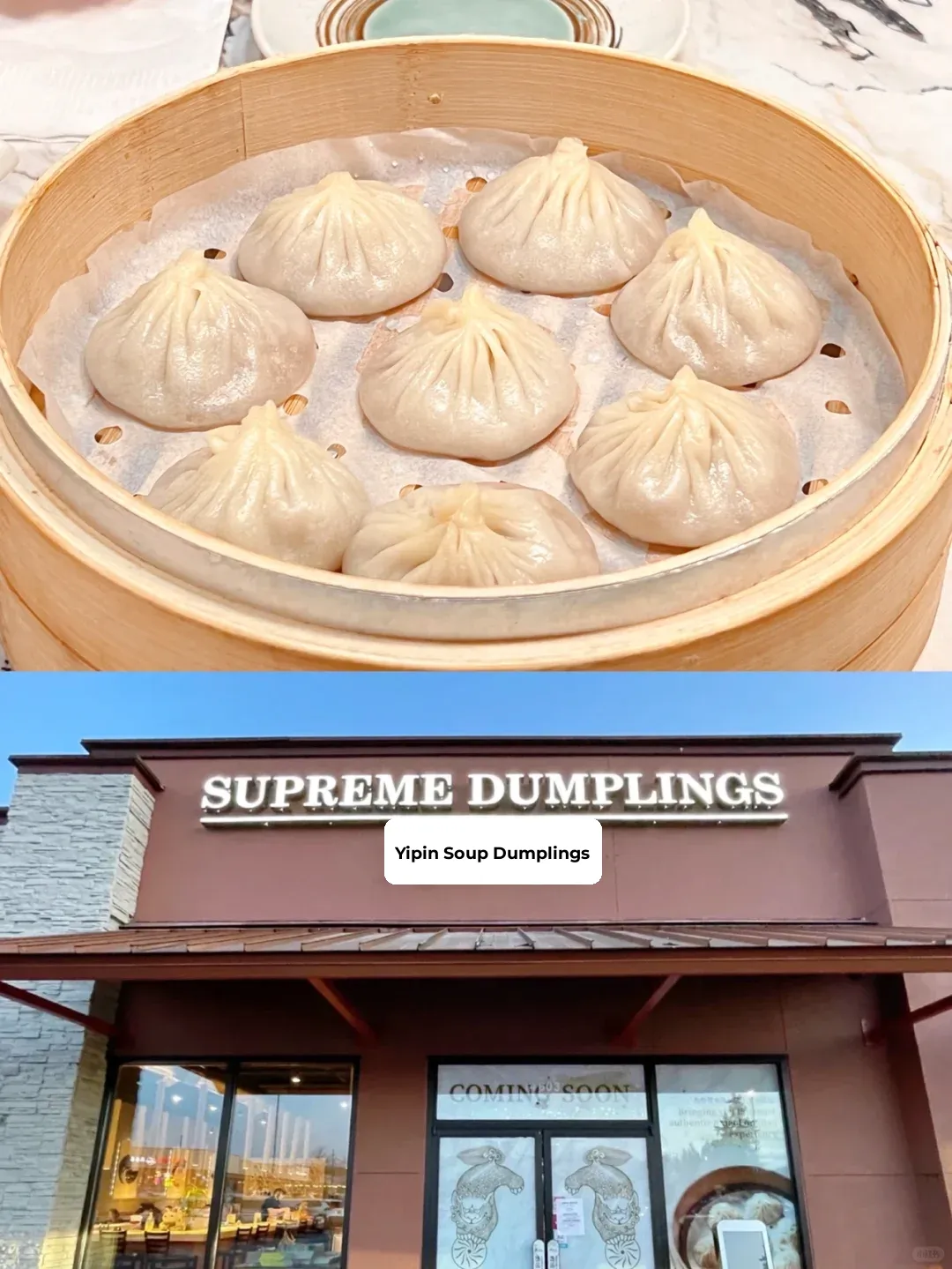Bellevue's New Spot Brings Fresh Surprises ✨ Dumplings Are a Must-Try 👍 Get There Fast 🏃‍♀️