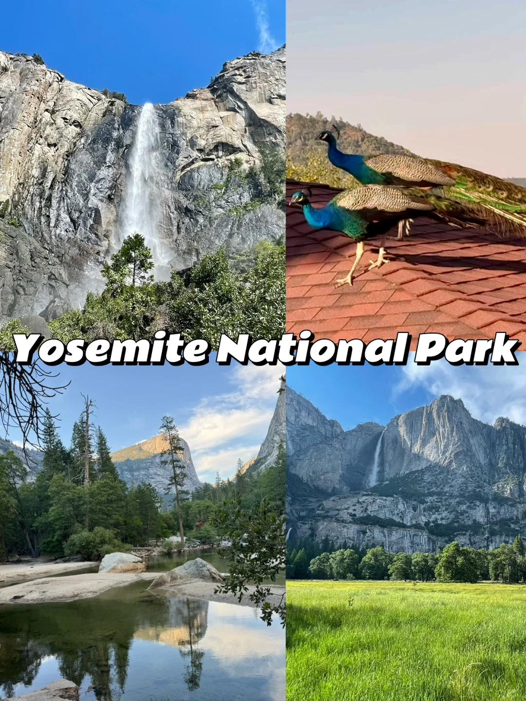 One-Day Travel Guide to Yosemite National Park (Includes Map)