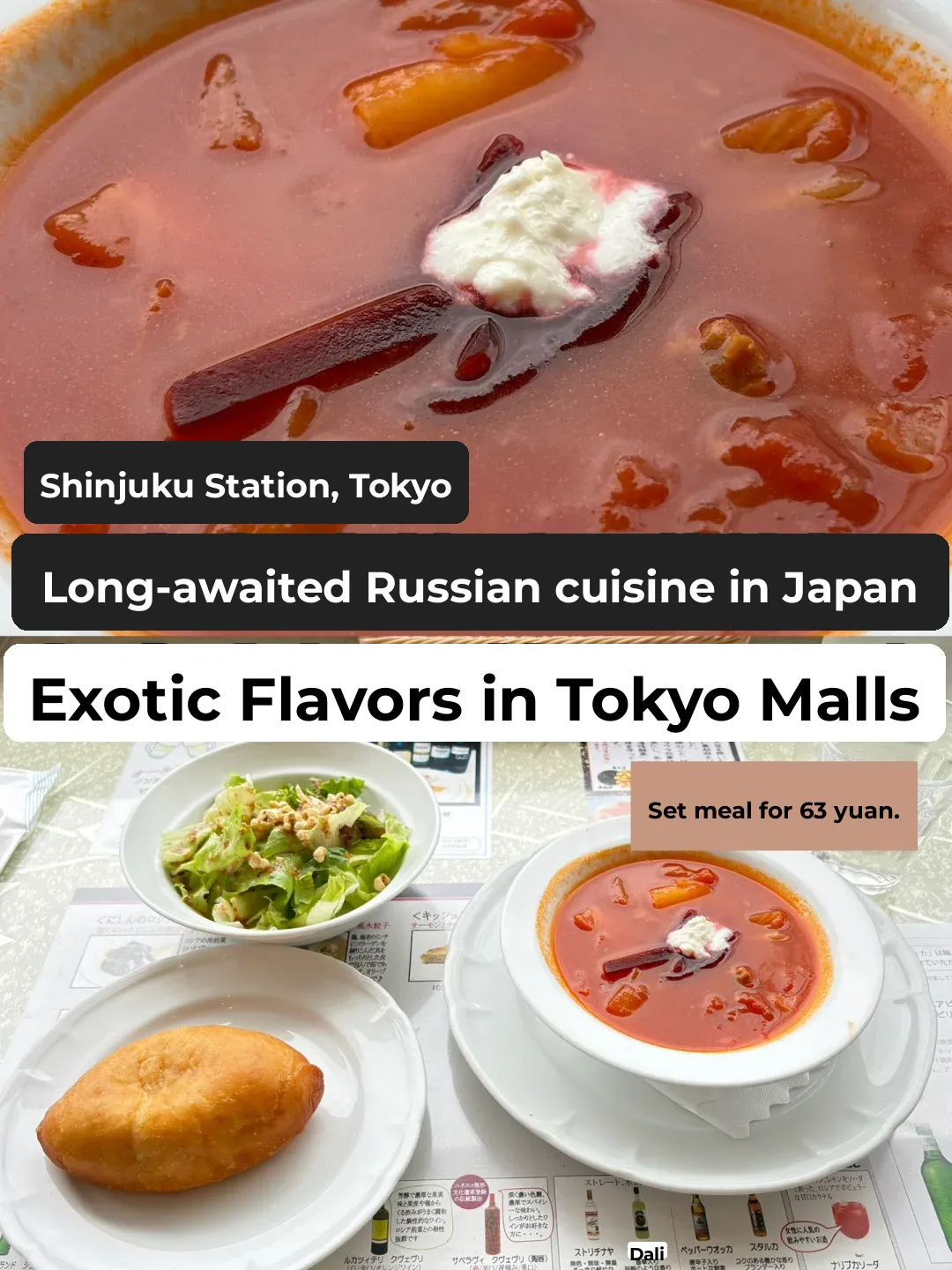 Long-Awaited Russian Cuisine 🇷🇺 Exotic Flavors in a Tokyo Mall