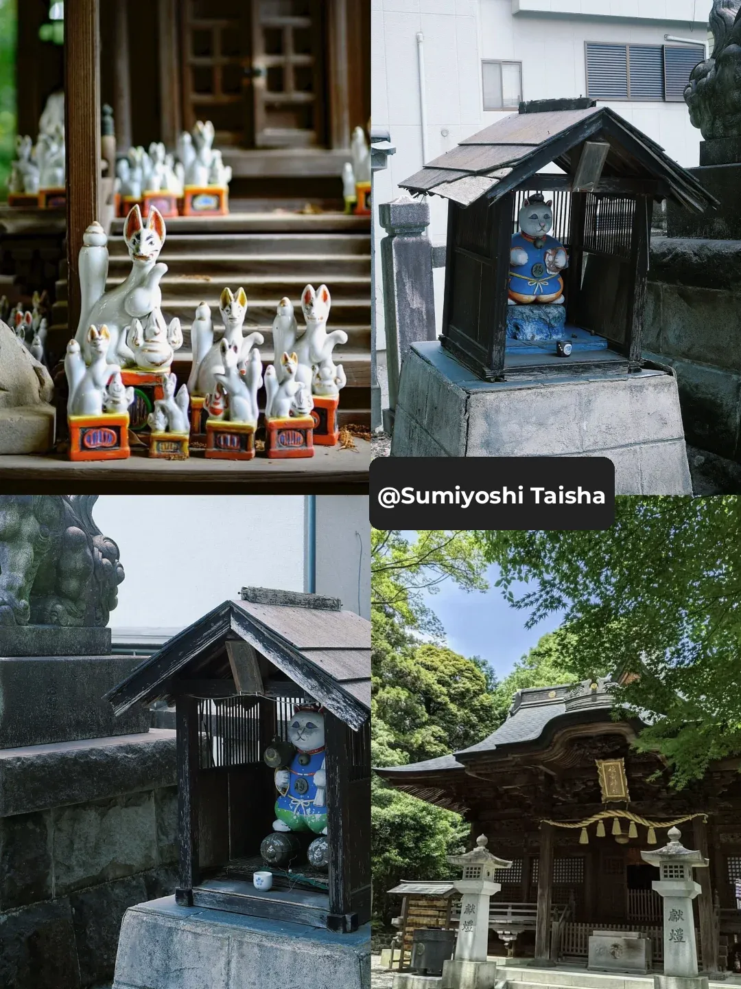Tokyo's Ome: A Must-Visit for Cat Lovers ‼️ The Nostalgic Town Under the Protection of the Cat God